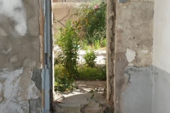 Verd i ciment.