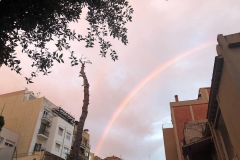 L'alzina, el pi i l'arc de Sant Martí.
