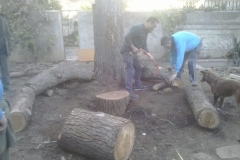 Construint la placeta.