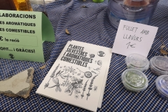 Fullet sobre plantes a la festa de la primavera del 31 de març.
