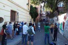 Una (de tantes) assemblees, (de nou) sota l'alzina.