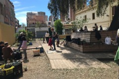Vermut-Plantada 24/4/2022