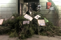La cercavila amb les branques talades dels arbres arriba a la seu del Districte.