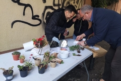 Intercanvi de plantes a la festa de la primavera del 31 de març.