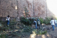 Jornada de treball al jardí.