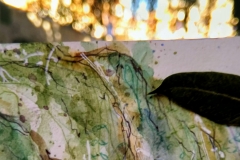 Pintant sota l'alzina durant la Trobada de Urban Sketchers del 22 d'agost.