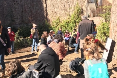 Segona trobada en l'espai poètic de l'alzina.