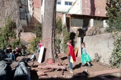 Superherois i fades del bosc en defensa de l'alzina.