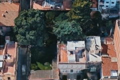 Vista aèria del jardí abans que tallessin la palmera, el pi i el cedre.