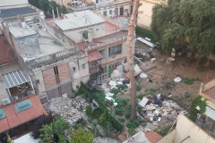 Des que es va precintar al f ebrer, el jardí presenta aquest mal estat...