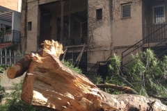 Al fons, la façana del darrere de la casa del núm. 17.