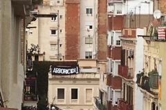 Resistint en aquest paisatge urbà.