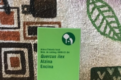 Aquest cartell no l'hem dissenyat nosaltres...-però alguna cosa hi tenim a veure.